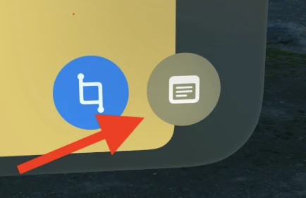 The notes panel button, open